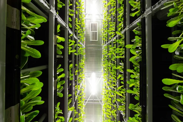 Green Data Centers