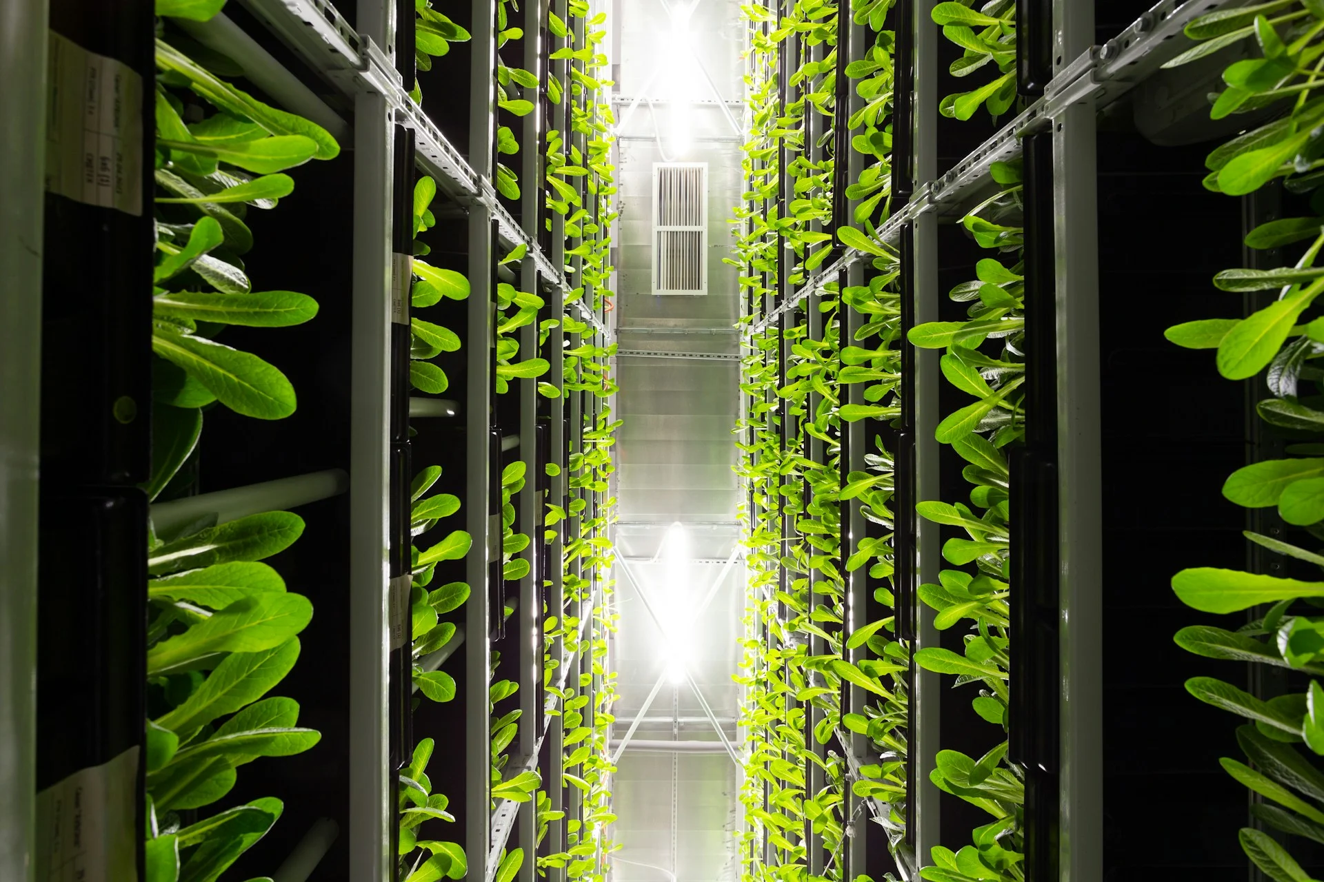Green Data Centers
